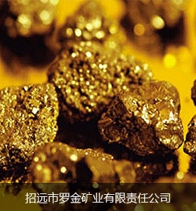 Wenjia branch of Zhaoyuan Luojin Mining Co., Ltd